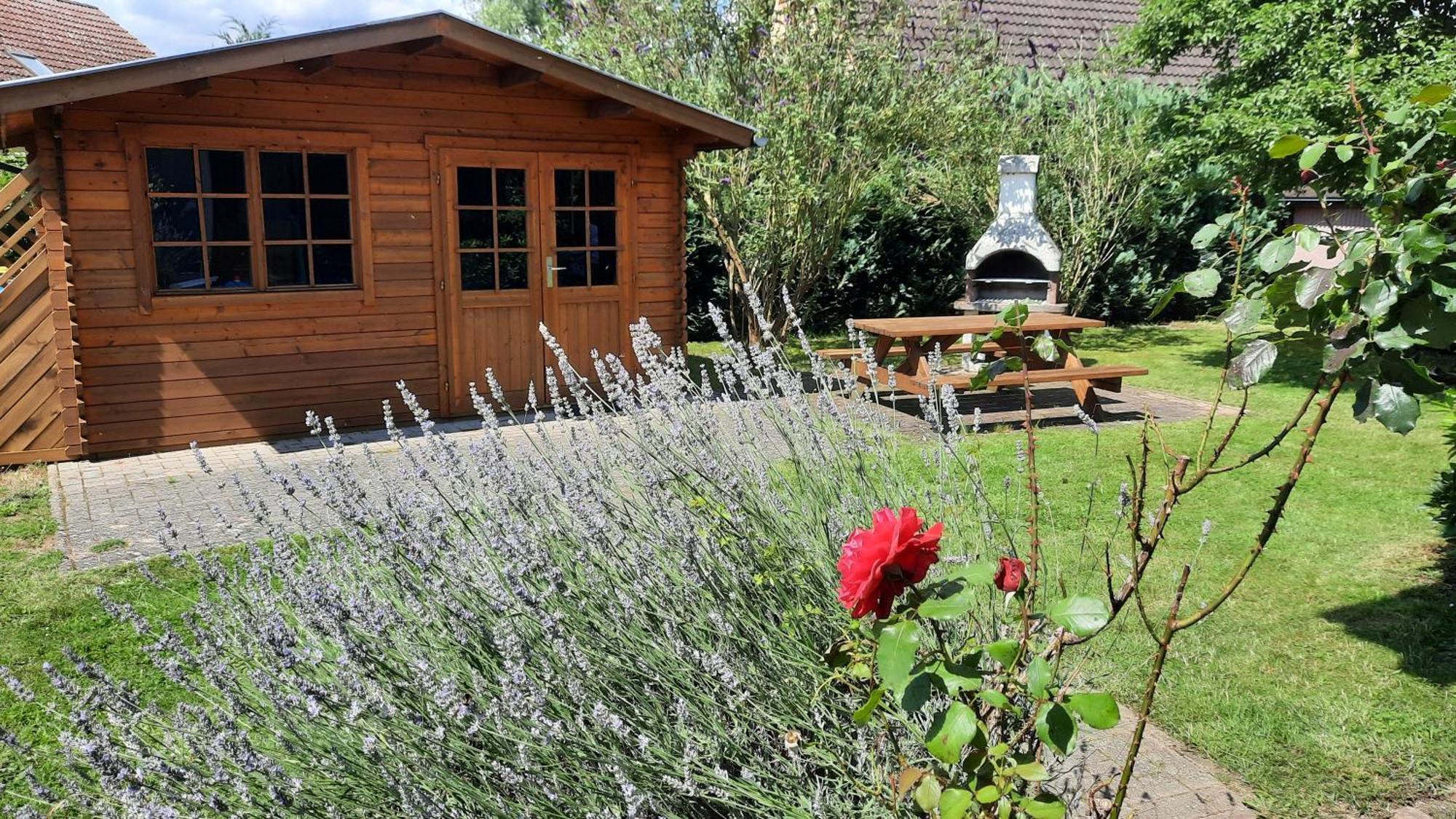 Ferienhaus Sasse Ferienwohnungen Mit Garten & Grill Molschow Dış mekan fotoğraf